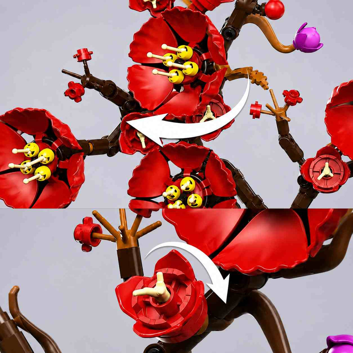 lubon_flower_closeup_view_jpg